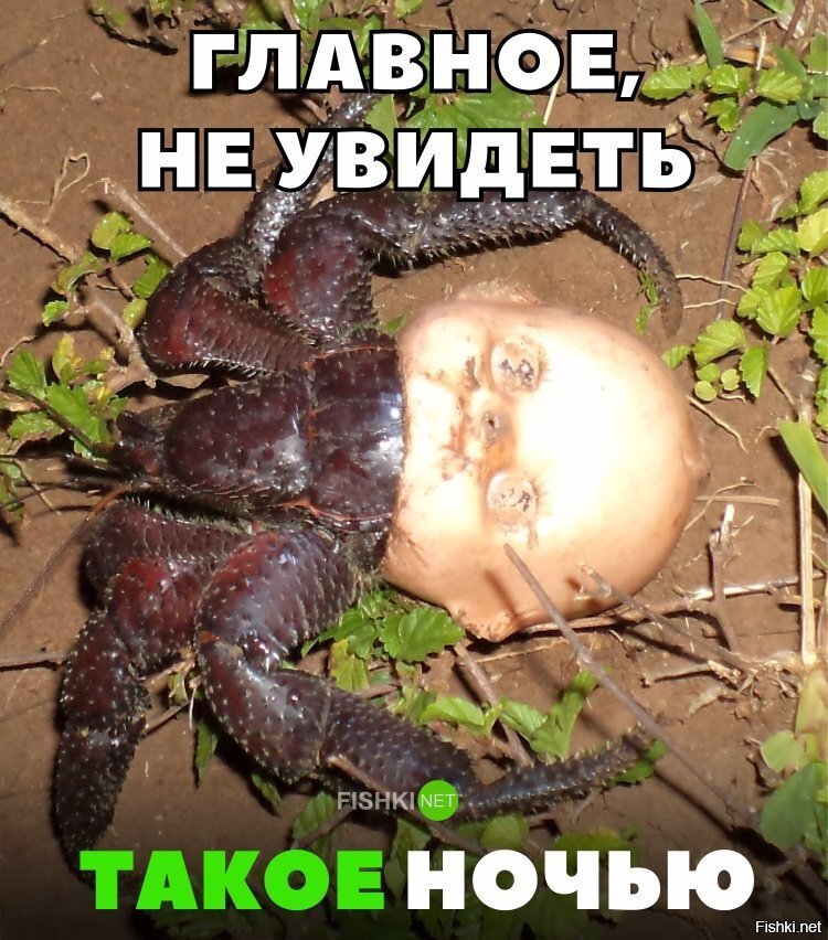 Главное не увидеть это ночью