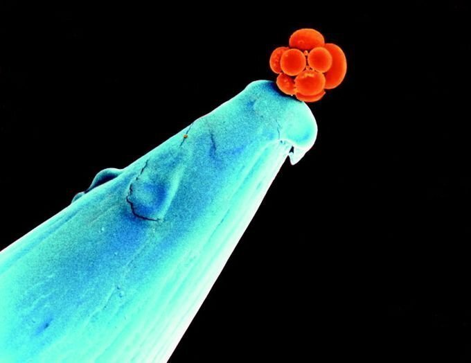 Загадка дня