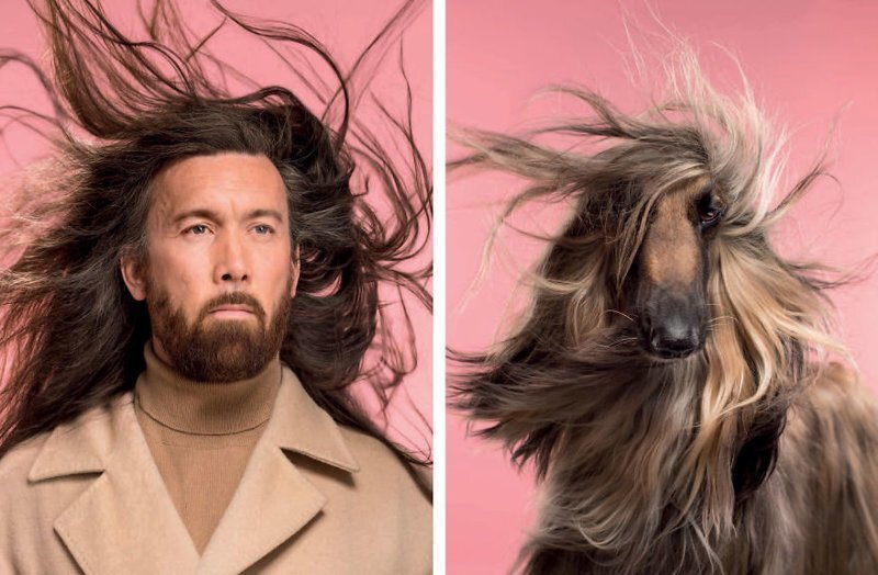 Британский фотограф сделал забавную серию снимков, в которой наглядно показал сходство собак и их хозяев