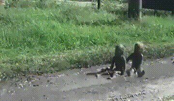 Как говорила бабуля