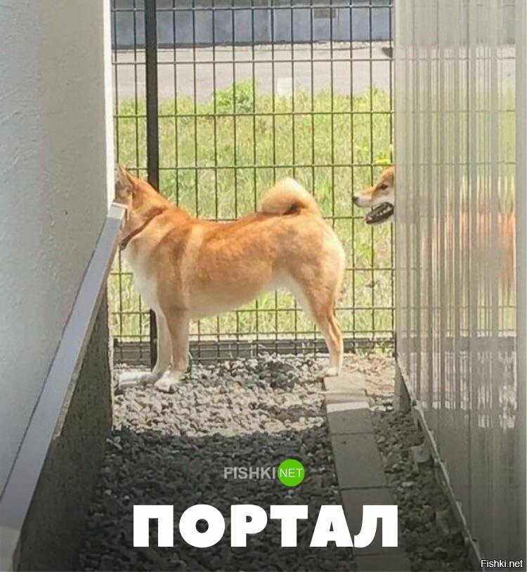 ПОртал