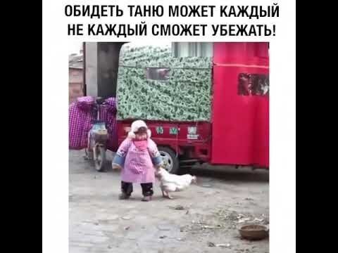 Да где же этот пИтух