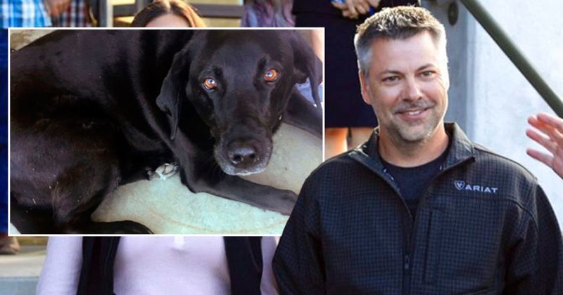 Собака спасла обвиненного в сексуальном домогательстве мужчину от 50 лет тюрьмы