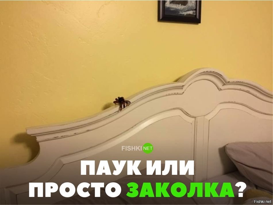 Паук или заколка?