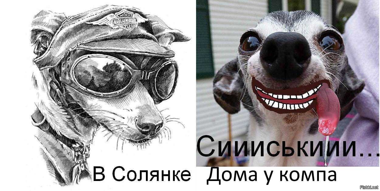 Солянка