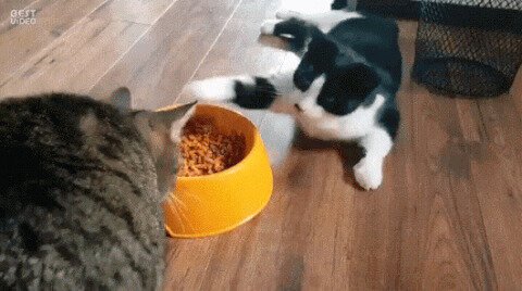 Какой же скряга