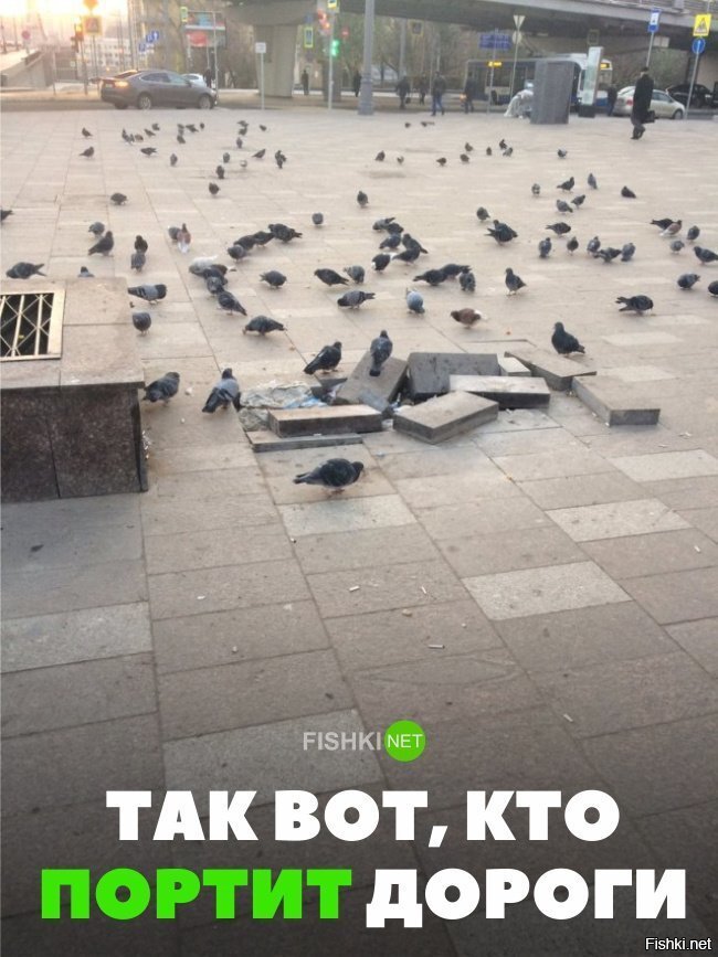 Так вот ,кто всё ломает