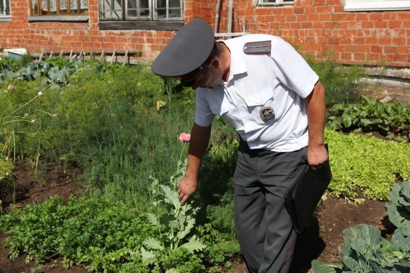 В Государственной Думе призвали с позором уволить следователей по делу о маке в огороде пенсионера
