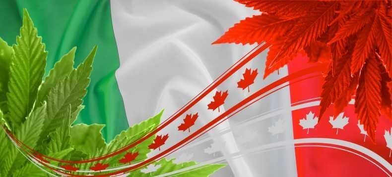 Как в Канаде будут продавать марихуану