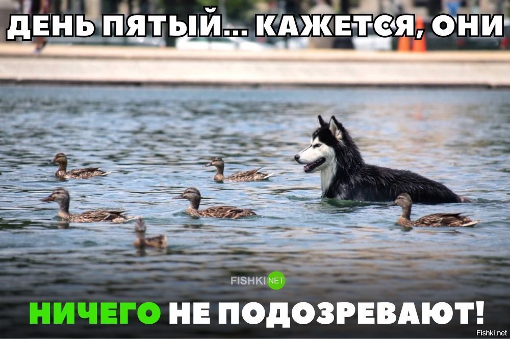 Ничего не подозревают