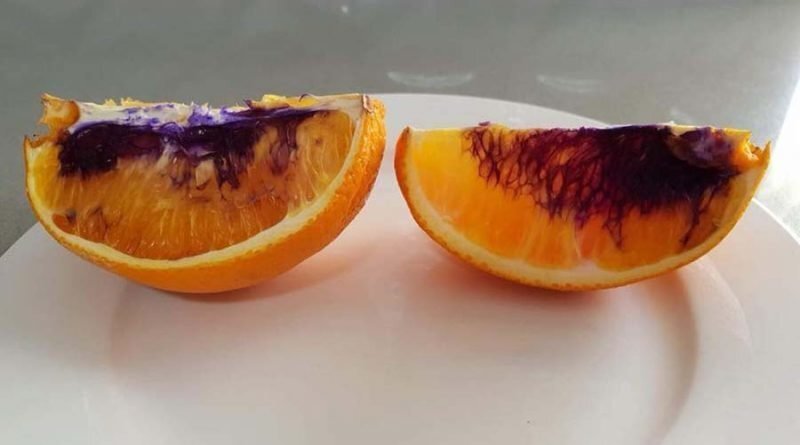 Австралийские учёные раскрыли тайну фиолетового апельсина