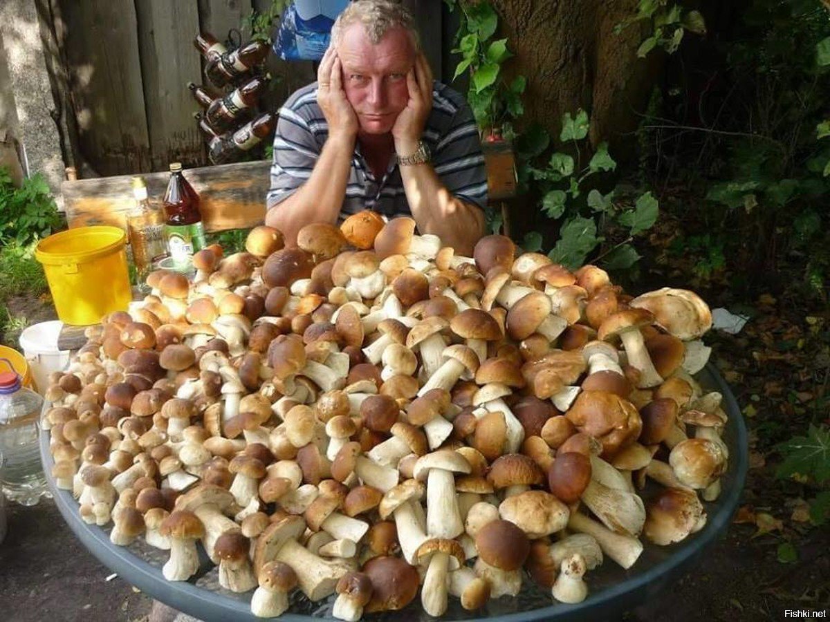 Солянка