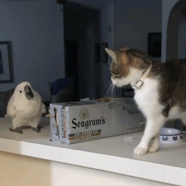 А это вопром к МАКСИМКОШУ