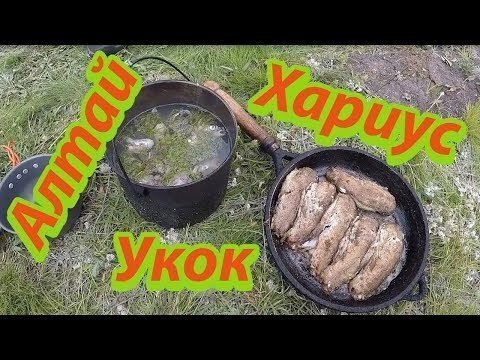 Блюда из Хариуса на плоскогорье Укок в Горном Алтае