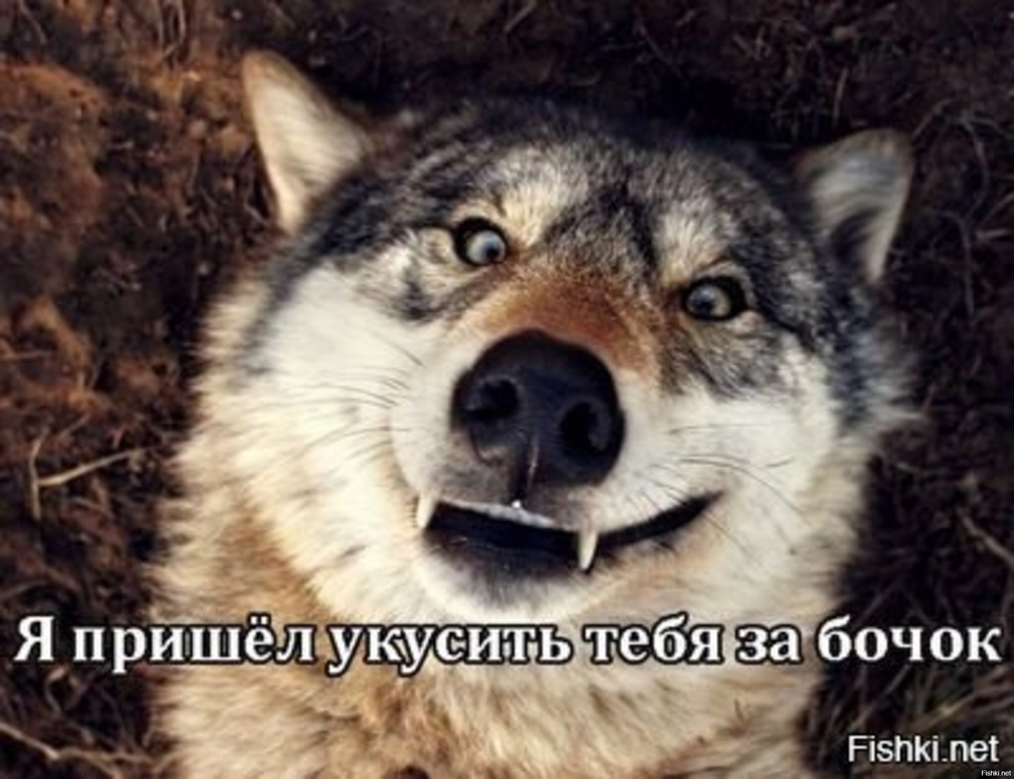 Всем спокойной ночки)))