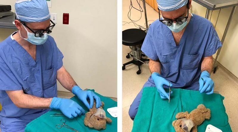 В Канаде хирурги прооперировали плюшевого мишку