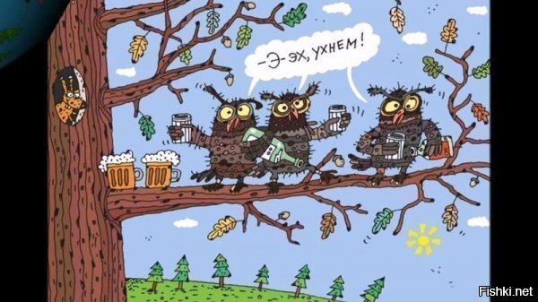 Солянка