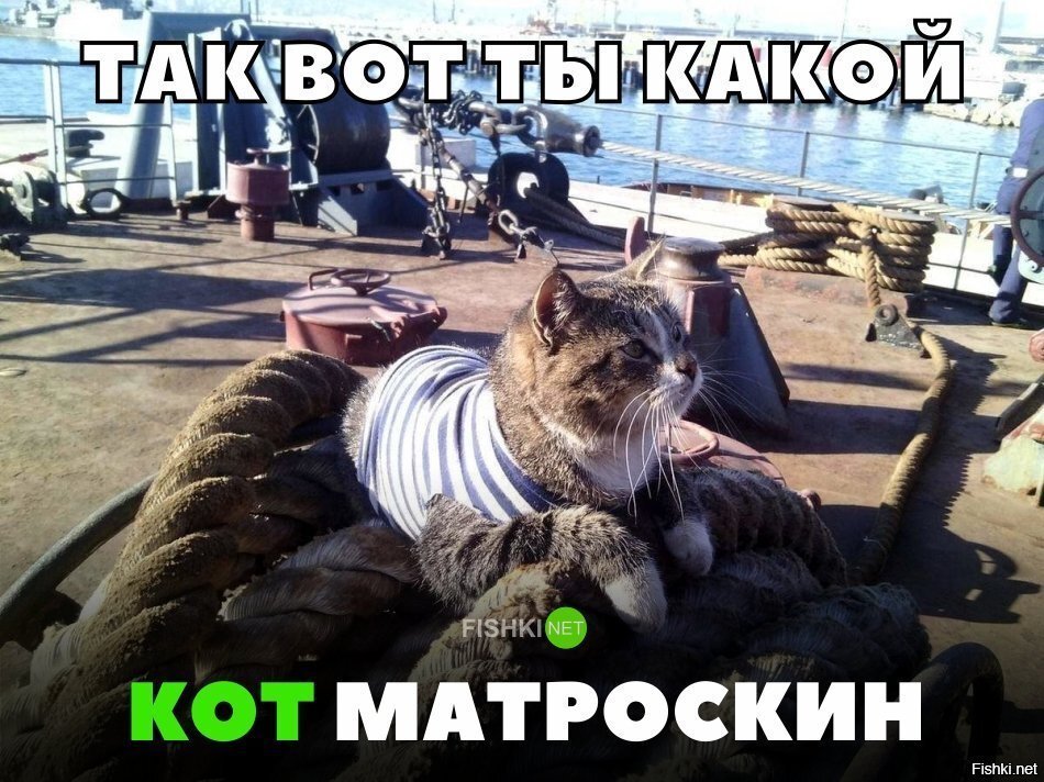 Кот матроскин