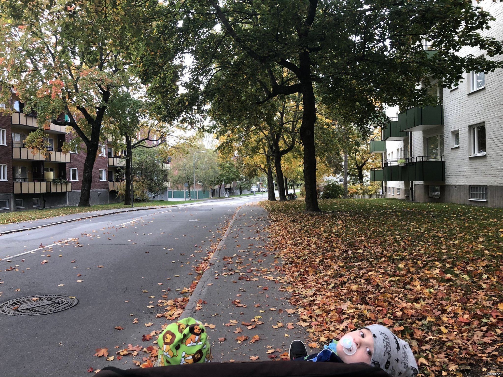 Осень пришла в Стокгольм
