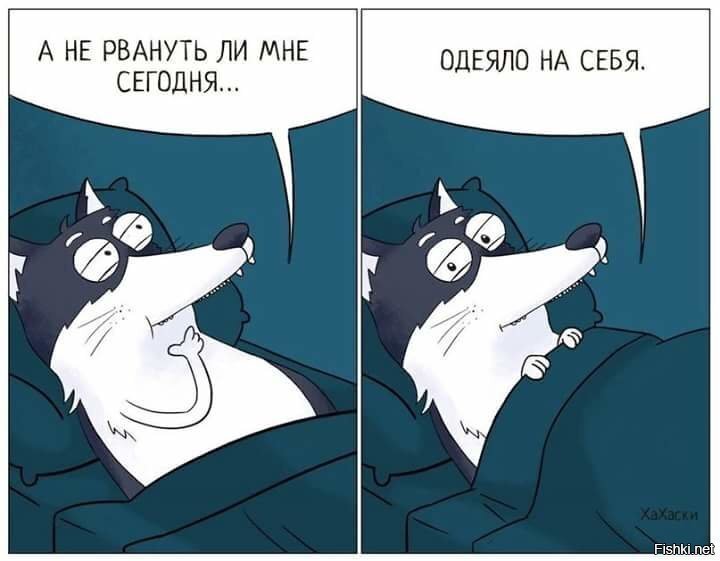 Солянка