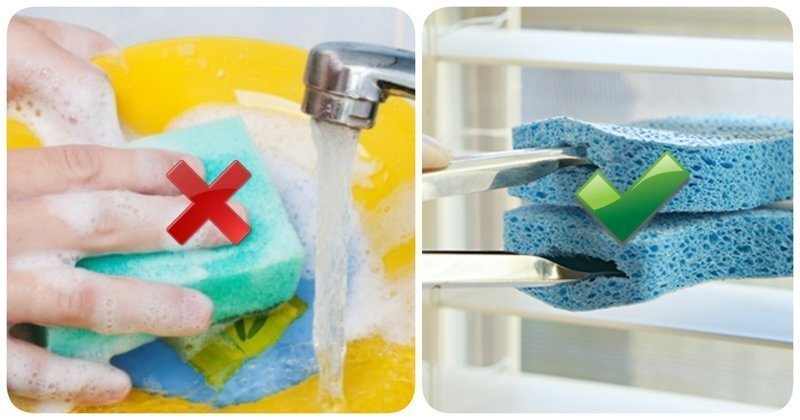 13 нестандартных способов использования губки для мытья посуды, о которых многие не подозревают