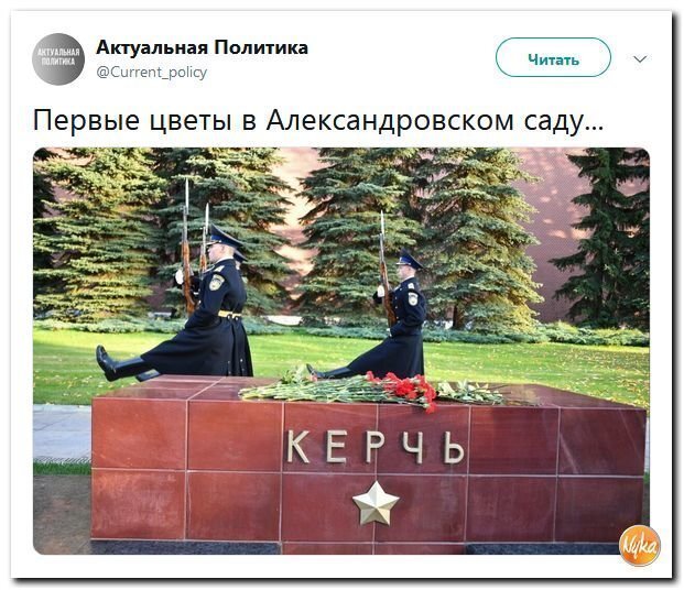 Политические коментарии соцстей - 614