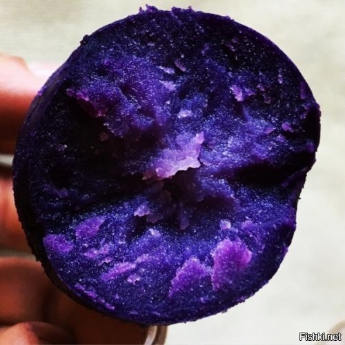 Фиолетовый картофель на вкус такой же, как обычный, но выглядит, как вселенна...