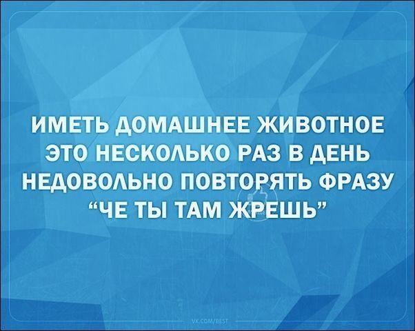 Смешные «Аткрытки»