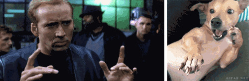 Быстрый, дерзкий