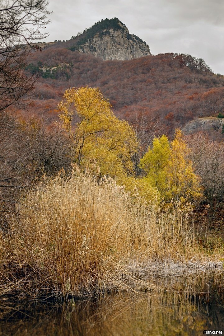 Ярмарка красок