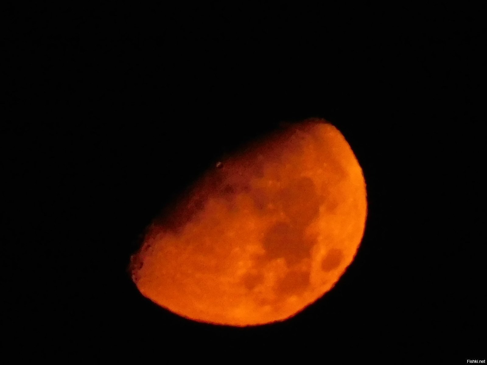 а из нашего окна луна красная видна