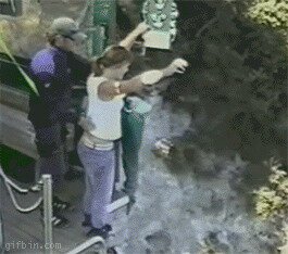 Лети, наш Икар