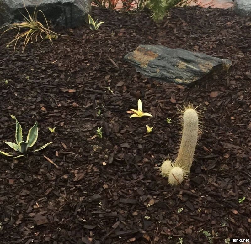 Доброй ночи всем 