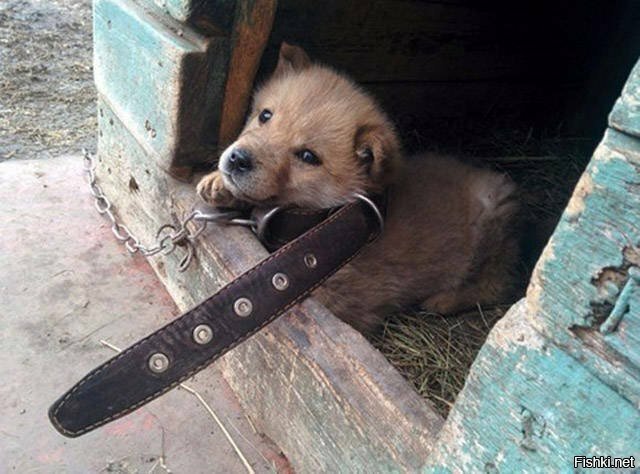 Наследство)))