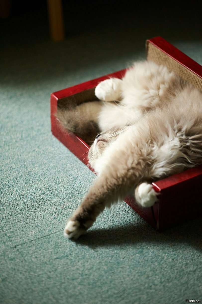 А мне удобно