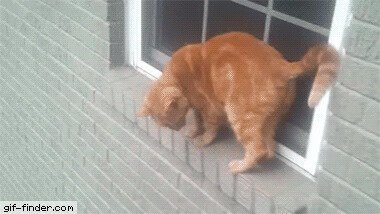 Не бывает тупиковых ситуаций, нужно просто поднять задницу