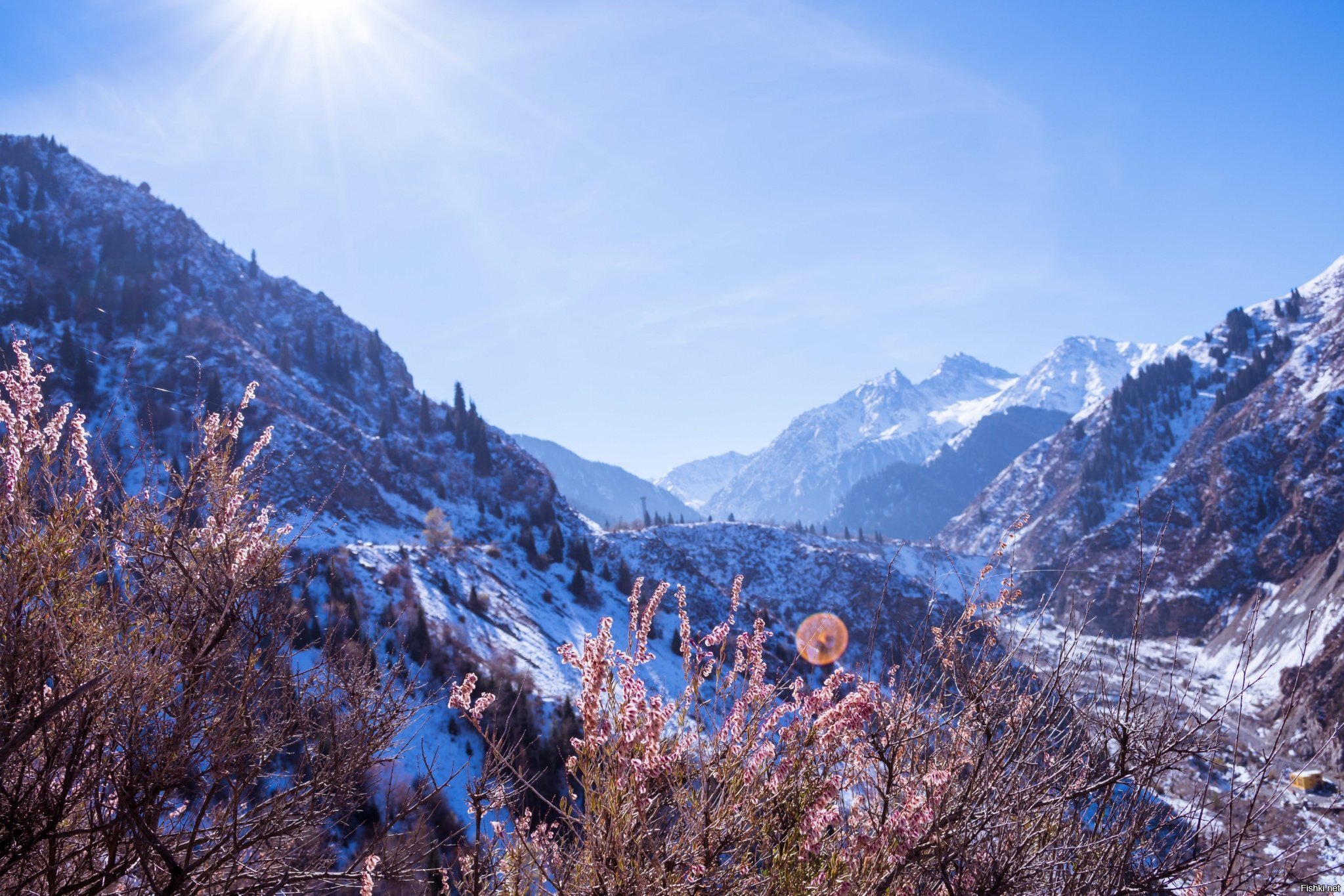 Мороз и солнце; день чудесный
