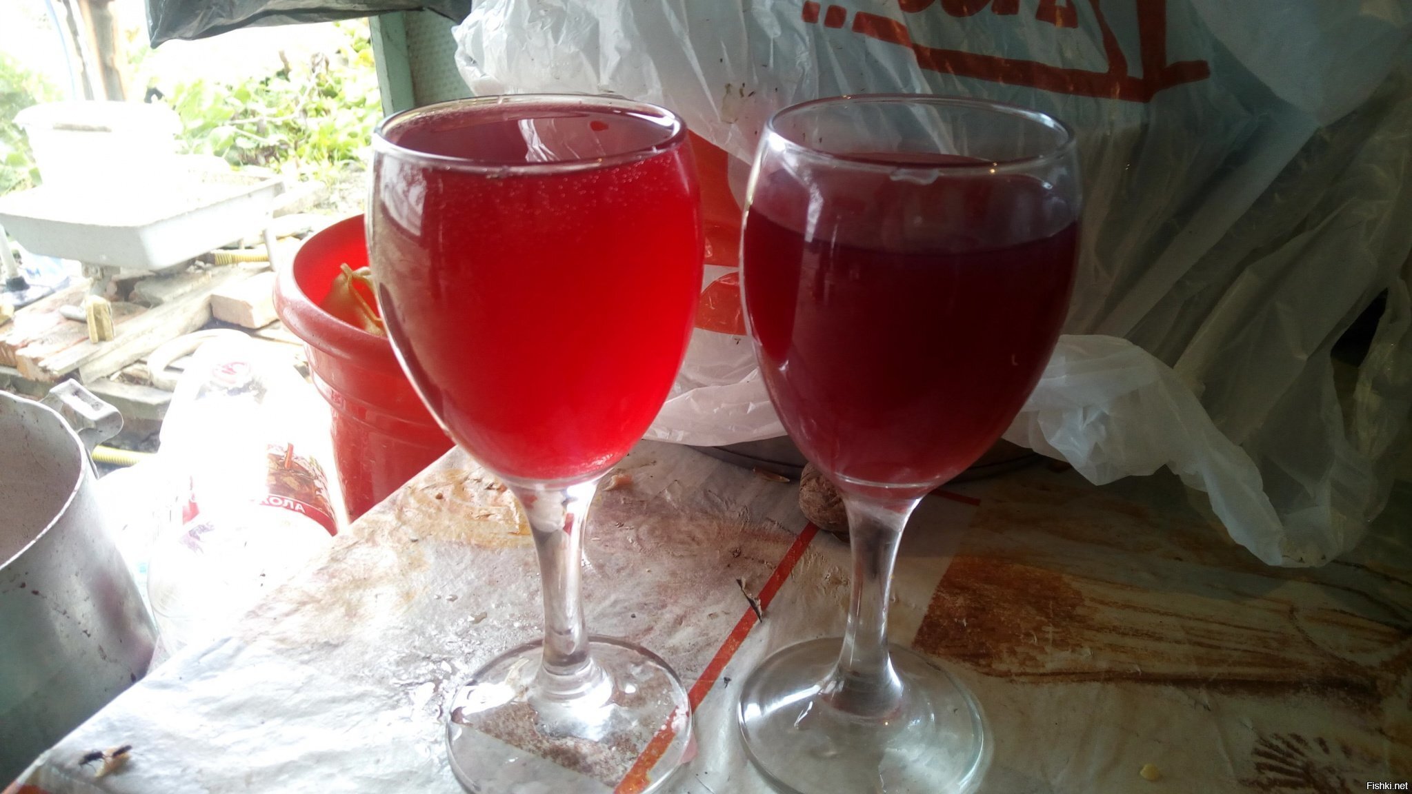 Два сорта молодого вина Боку и Изабелла, моего изготовления, еще на дображивании