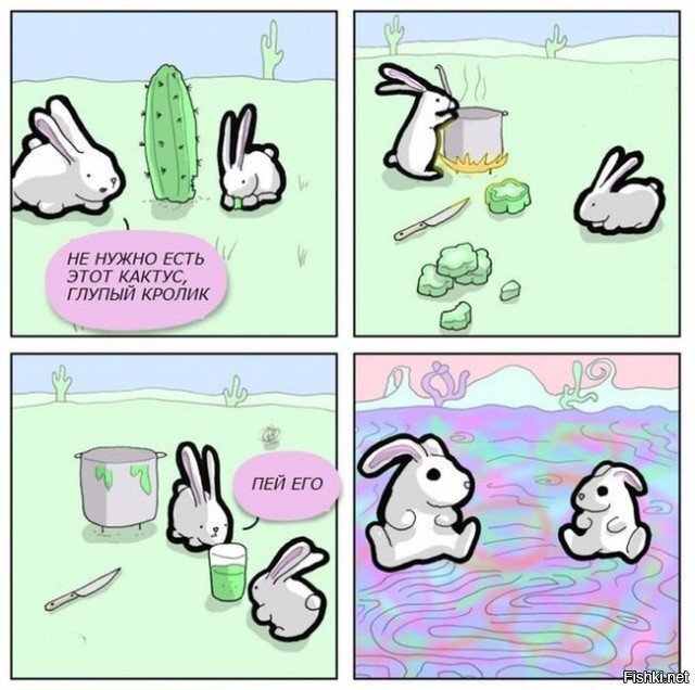 Солянка
