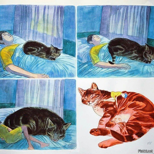 У меня так с собакой )))