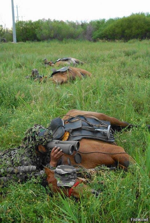 В дозоре