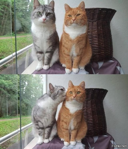 Тьмок исподтишка