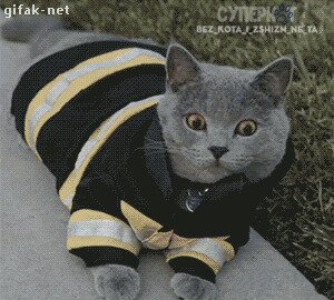Миссия спасения