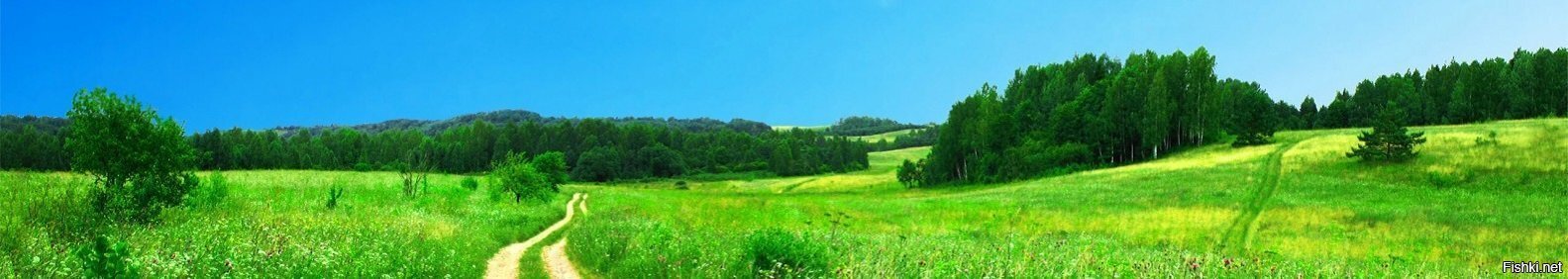 С добрым утром вторника