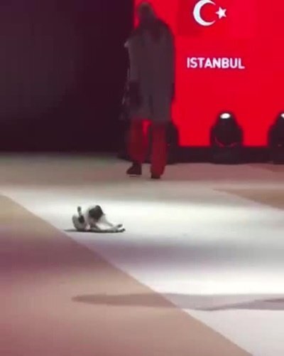 Каити, Таити