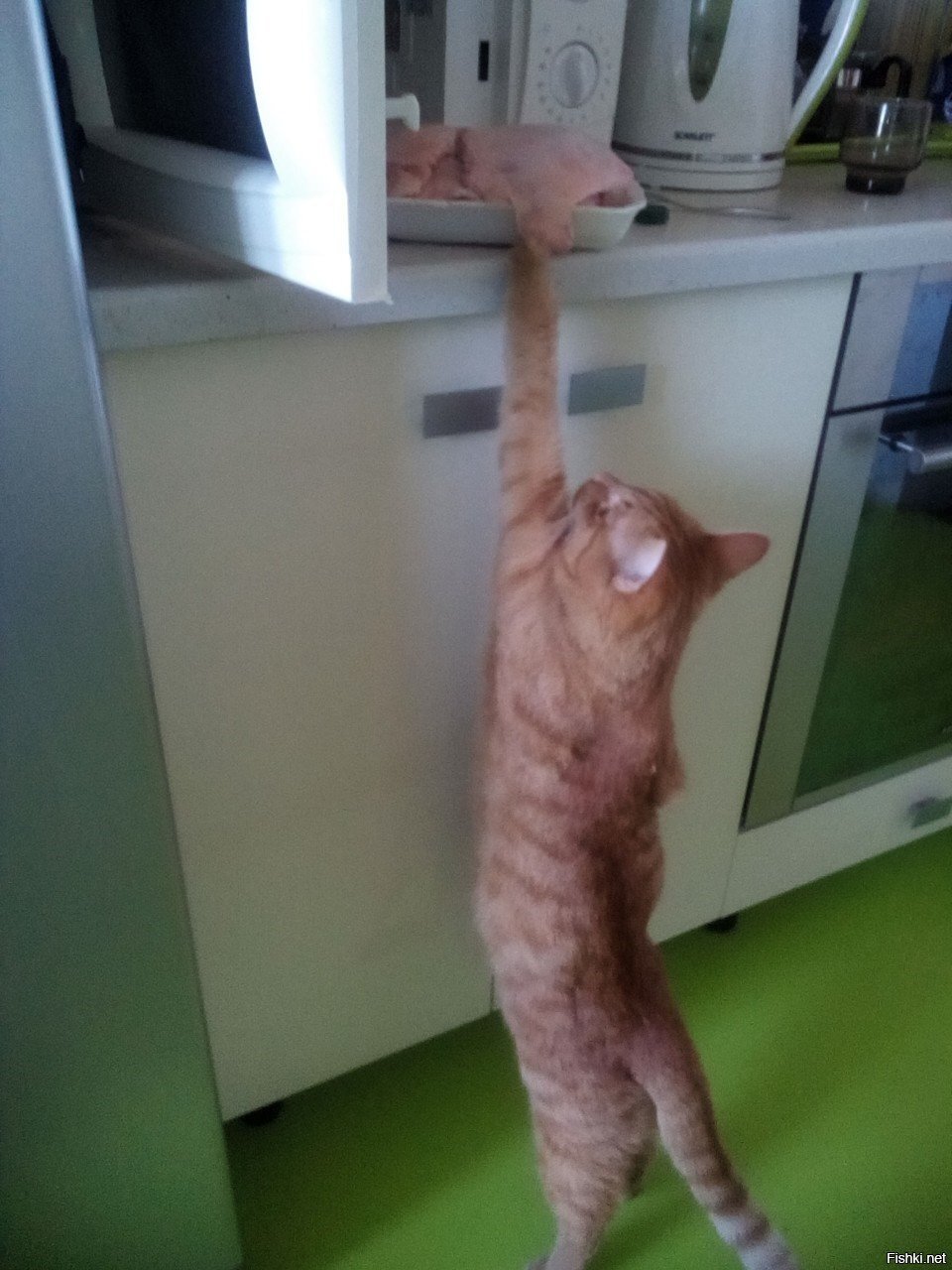 Солянка