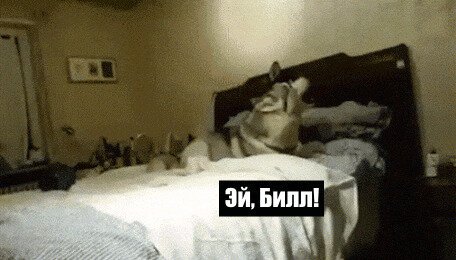 - Что я люблю
