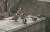 А были бы со смартфонами, то начали бы снимать