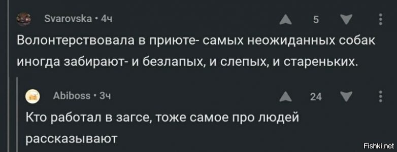 Доброго утра всем