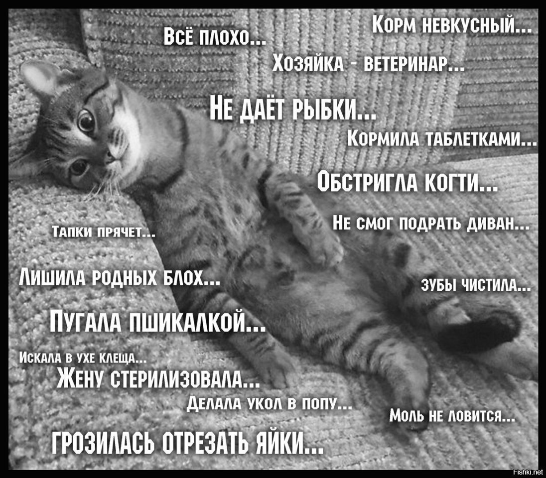 ....ноябрь...